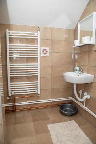 a bathroom with a shower and a sink and a toilet at Kuca Stojanovica Topli Do in Pirot