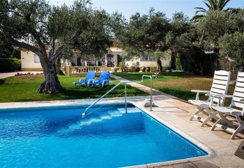 a swimming pool with blue chairs and a tree at Villa with great pool dog friendly in Vinarós
