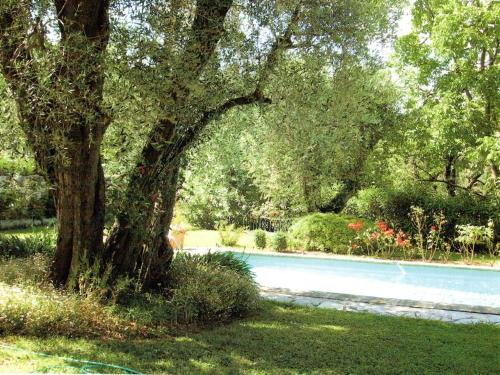 un arbre dans l'herbe à côté d'une piscine dans l'établissement Chambre avec acces jardin et piscine. Weekend ou semaine., à Le Rouret