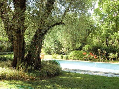un árbol en el césped junto a una piscina en Chambre avec acces jardin et piscine. Weekend ou semaine., en Le Rouret