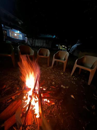 Φωτογραφία από το άλμπουμ του North Deodar Camps σε Kasol