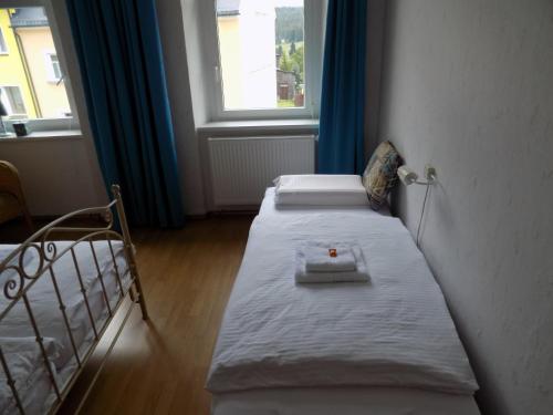 two beds in a small room with a window at Die Alte Bäckerei in Jöhstadt