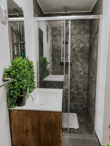 une salle de bain avec un lavabo et une douche dans l'établissement Roua by NorAtlas Heritage - Adults Only, à Buzău