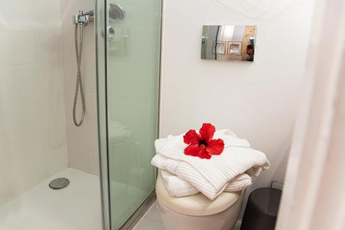 Koupelna v ubytování Barbati Boutique Studio