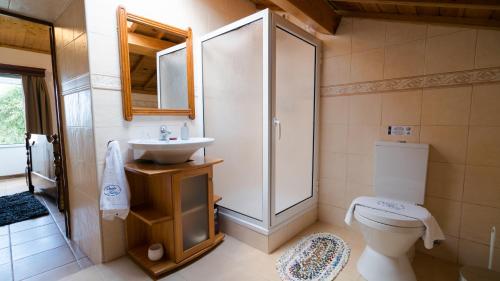 a bathroom with a shower and a toilet and a sink at Quinta Rico in Quatro Ribeiras