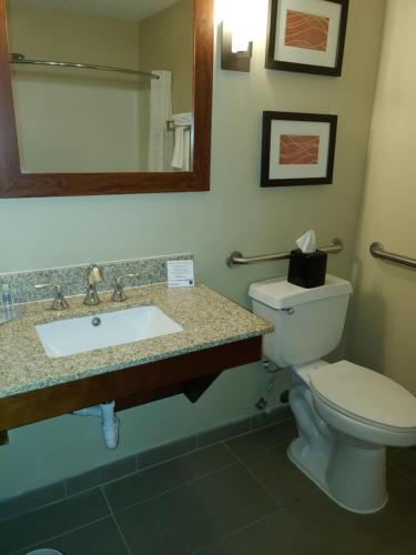 a bathroom with a toilet and a sink and a mirror at Comfort Inn in Idaho Falls