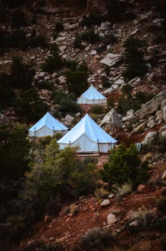 two white tents on a rocky hill with trees at Zion Glamping Adventures in Hildale