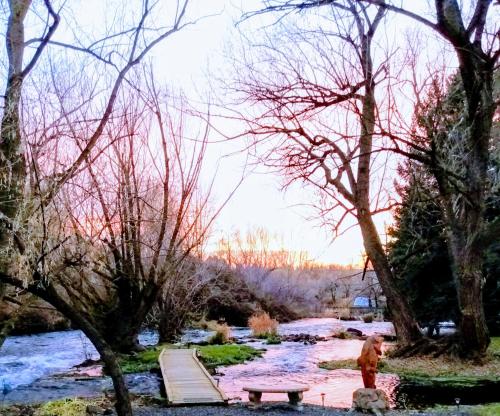 a fire hydrant in front of a river with a bridge at Billingsley Creek in Hagerman