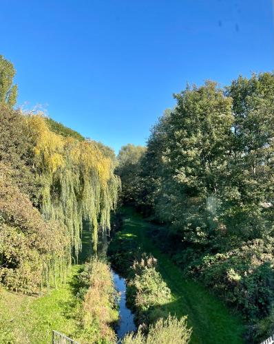 a river in the middle of a field with trees at BH - Luxurious 1 bed top floor apartment with parking - please read about score in Shottery