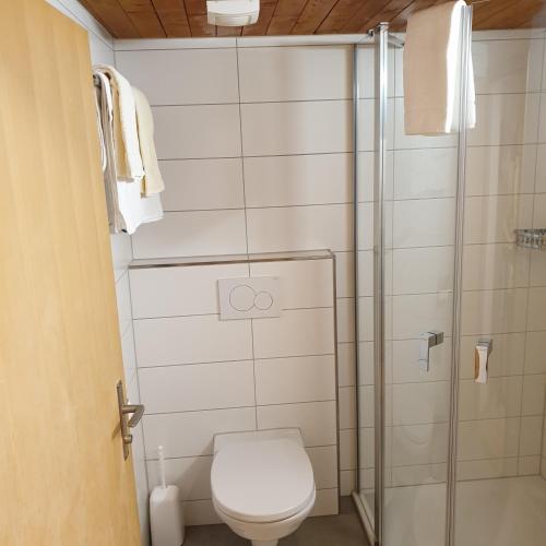 a bathroom with a toilet and a shower at WHITE HOME IN AESCHI BEI SPIEZ in Aeschi bei Spiez