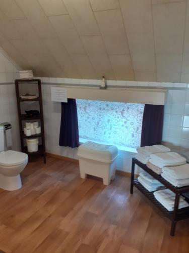 een kleine badkamer met een toilet en een raam bij Wenceslas Cobergher III in Bertem