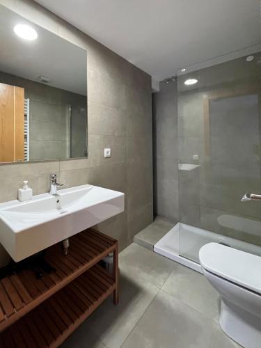 a bathroom with a sink and a toilet at Casa Damián del Baile Apartamentos in Benasque