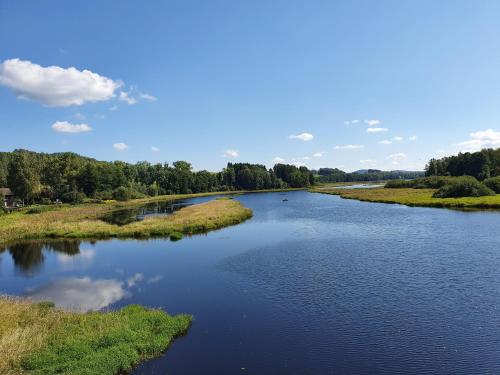 an aerial view of a river with trees at Relax Vila Lipno 1 u pláže Windy Point in Černá v Pošumaví