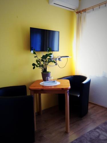a room with a table with a plant on a wall at Majláth Vendégház in Bük