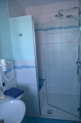 a bathroom with a shower and a toilet and a sink at Ferienwohnungen Landgasthaus Janshen in Ellscheid