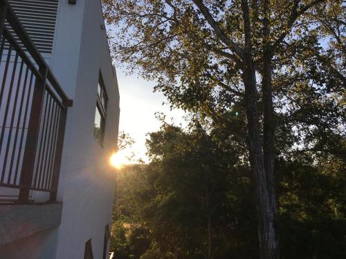 a tree next to a building with the sun in the background at Greenville Maioli in Tongxiao