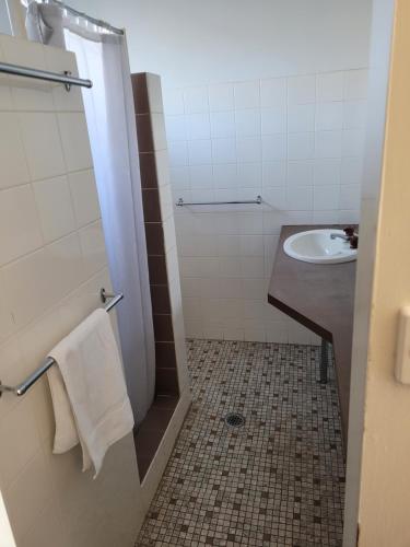 a bathroom with a shower and a sink at Palm and Pawn Motor Inn in North Wagga