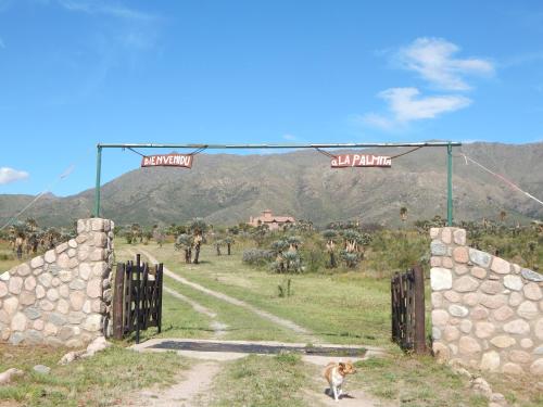 La Palmita – Photos 4