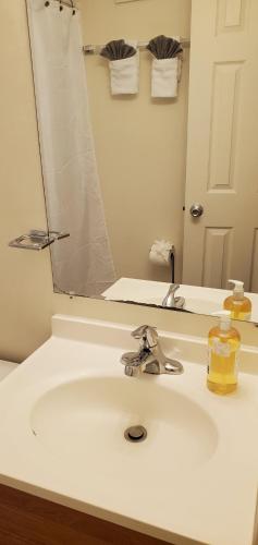 a bathroom sink with a mirror and a soap dispenser at RELAXING 3 BR WITH FREE PARKING AT THE SEQUOIA in Washington, D.C.