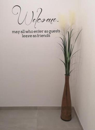 a vase with a plant sitting on a table at SMART Rooms Pistoia in Pistoia