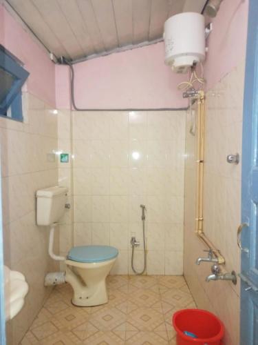 a bathroom with a toilet and a shower at Aranya Darshan in Lataguri