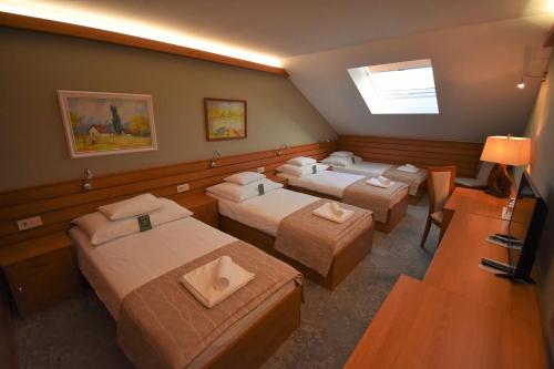 Gallery image of Hotel Club Tisza in Lakitelek