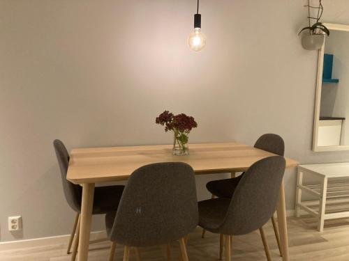 Imagen de la galería de New apartment 10 minutes from Drammen center, en Drammen