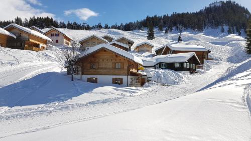겨울의 Alpenchalet Garfrescha