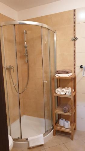 a shower with a glass door in a bathroom at Apartmán AQUAPARK - Hotel Bešeňová in Bešeňová