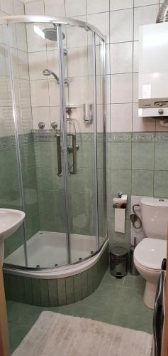 y baño con ducha y aseo. en Apartament Kaduk, en Nowy Sącz