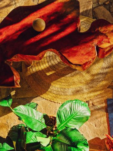 a painting of leaves and a plant on a table at Vila Sancar Pousada in Lençóis