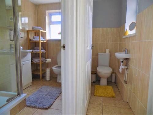 uma casa de banho com um WC, um lavatório e um chuveiro em The Railway House em Cardiff
