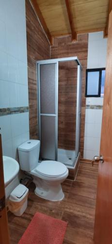 a bathroom with a toilet and a shower at Cabañas Trabun-Leufu in La Unión