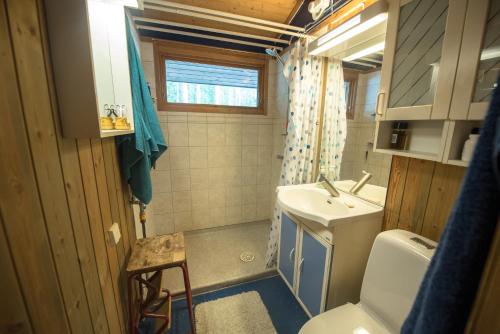 EdsbrukにあるHuset Söderskogen - SWEEDS Loftahammarのトイレと洗面台のある小さなバスルーム