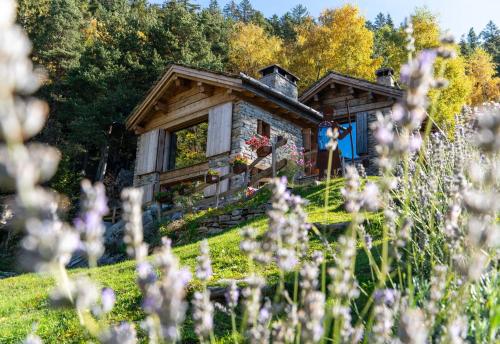 Res Albert - Chalet con Vista sulle Montagneにある庭
