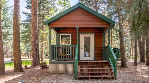 The Blue Devil Cabin #5 – Photos 2