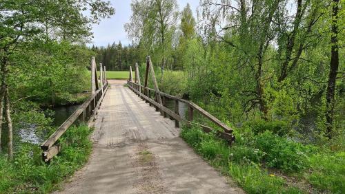 a wooden bridge over a river next to a forest at Ferienhaus Kappeled in Kappeled