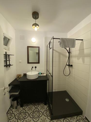 a bathroom with a sink and a shower at Altes Landhaus Südburgenland in Olbendorf