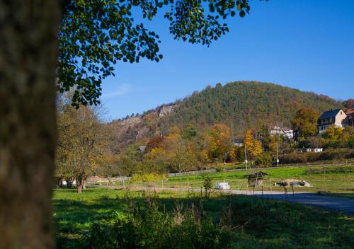 a view of a field with a mountain in the background at Hotel & Ferienwohnungen Bohlenblick in Saalfeld