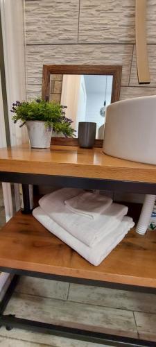 a wooden table with a laptop and a mirror at Garden in Satu Mare