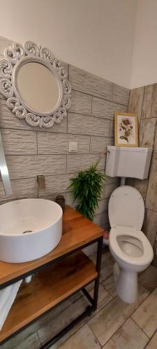 a bathroom with a sink and a toilet and a mirror at Garden in Satu Mare