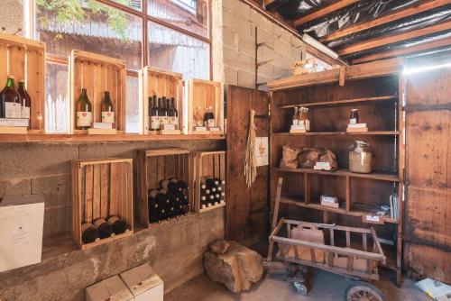 a room with lots of bottles of wine on shelves at Huberhof in Fiè