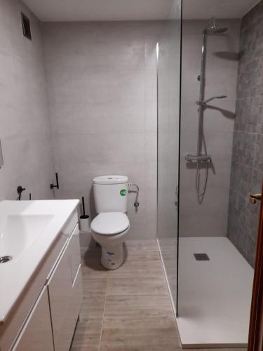 a bathroom with a toilet and a glass shower at Torresmar home in Segorbe