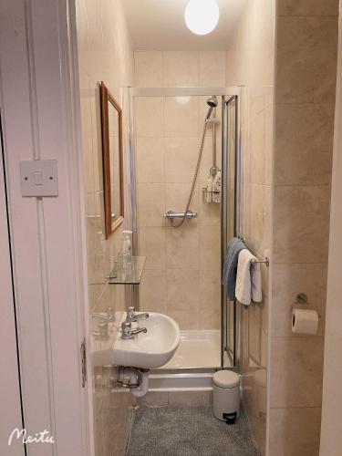 a bathroom with a toilet and a sink and a shower at Mulgrave Lodge in Dun Laoghaire