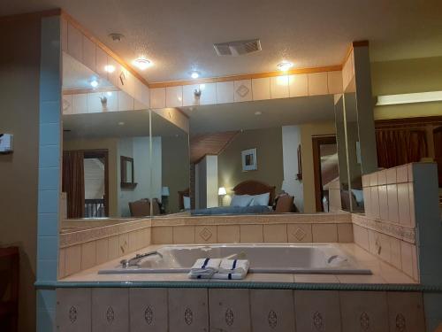 uma grande banheira num quarto com um grande espelho em American Inn and Suites Ionia em Ionia