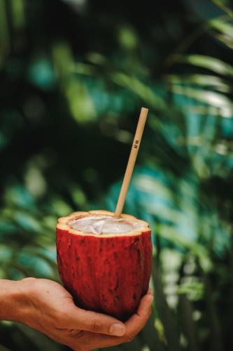 Bebidas en Pousada Seis e Meia