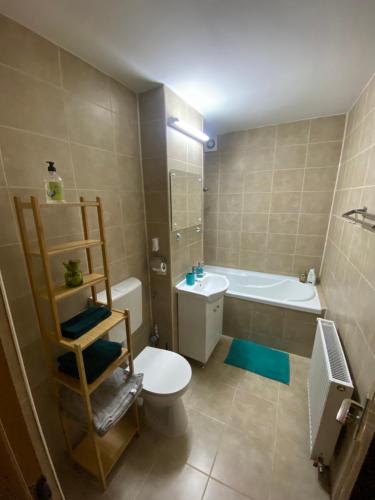 a bathroom with a toilet and a sink and a tub at APARTMENT DABIC Remote and Fun in Braşov