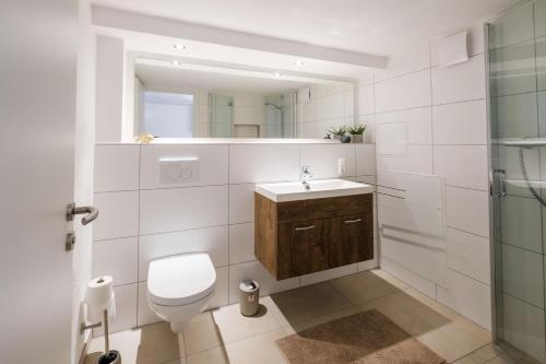 La salle de bains est pourvue de toilettes, d'un lavabo et d'un miroir. dans l'établissement Terraluna-Heimbach, à Heimbach