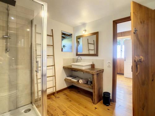 Nistos的住宿－Gîte de montagne « Les Pivoines » à Nistos，一间带水槽和玻璃淋浴的浴室