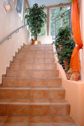 a staircase in a building with a bunch of plants at Landhaus Preißinger in Warmensteinach